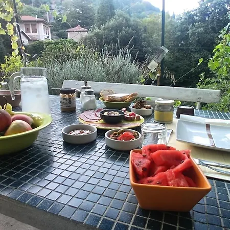 Le Domaine Des Bellevesasses * מנטון