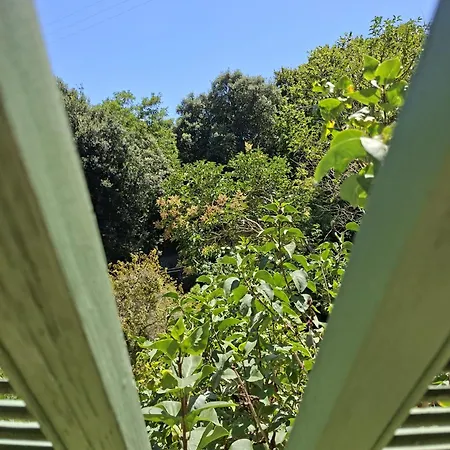 Le Domaine Des Bellevesasses מנטון